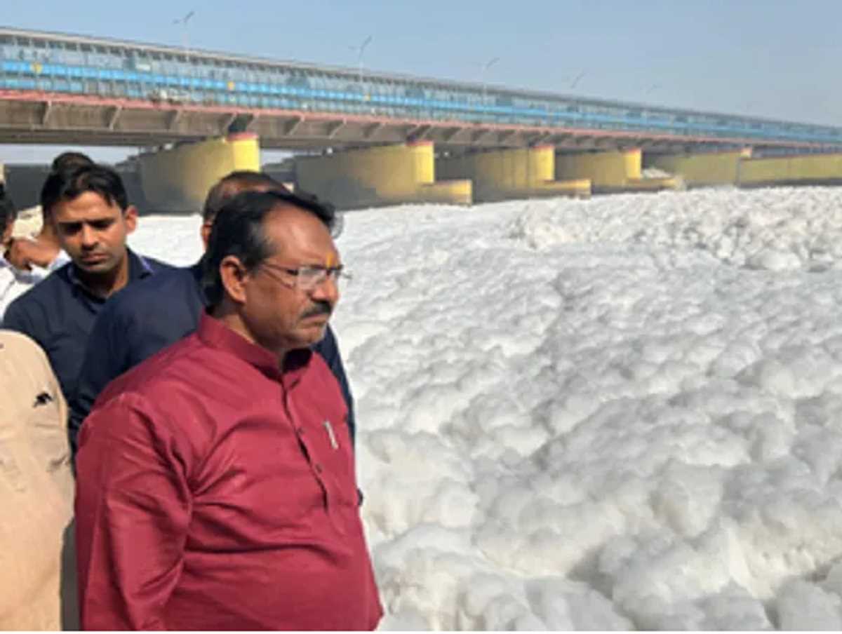 हर्ष मल्होत्रा ने यमुना का दौरा किया, प्रदूषण के लिए आतिशी सरकार को जिम्मेदार ठहराया